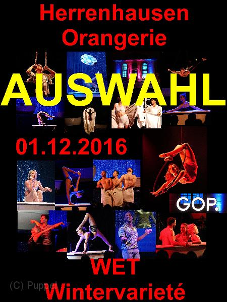 A Orangerie Wintervariete WET AUSWAHL.jpg